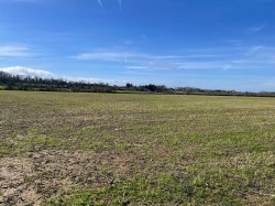 Images for Redlands Lane, Edington, Somerset