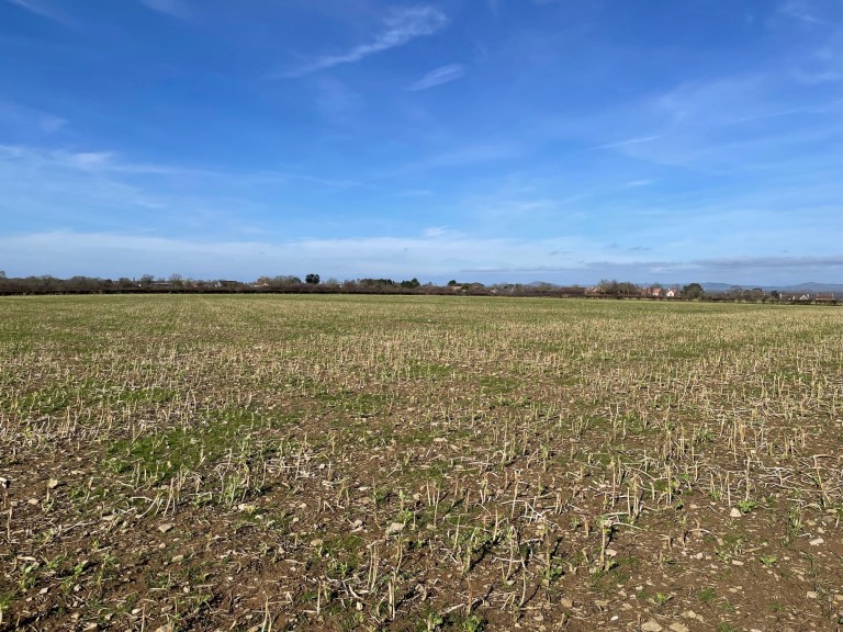 Images for Redlands Lane, Edington, Somerset