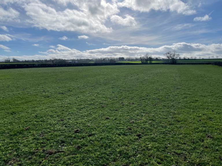 Images for Redlands Lane, Edington, Somerset