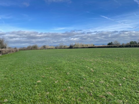 Click the photo for more details of Redlands Lane, Edington, Somerset