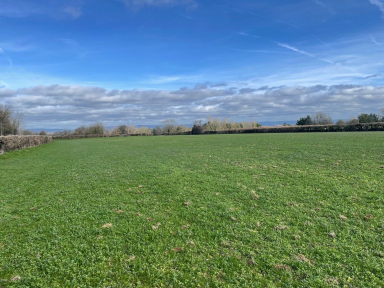 Images for Redlands Lane, Edington, Somerset