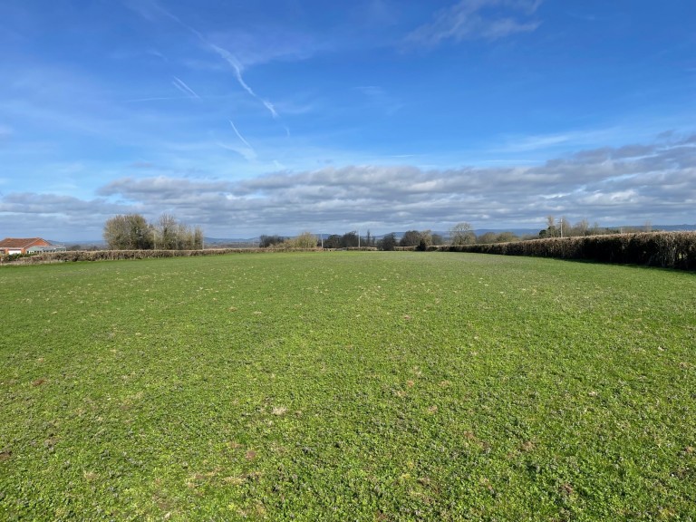 Images for Redlands Lane, Edington, Somerset