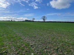 Images for Broadway, Edington, Somerset