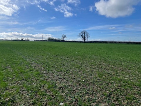 Click the photo for more details of Broadway, Edington, Somerset