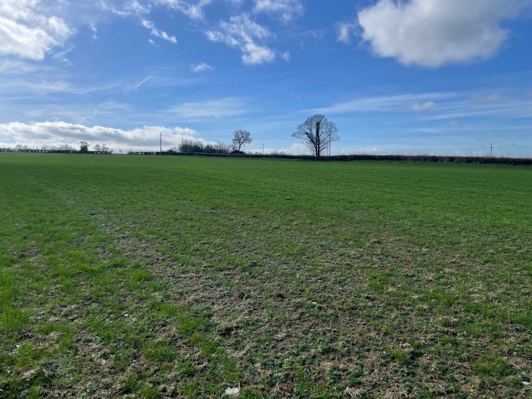 Images for Broadway, Edington, Somerset