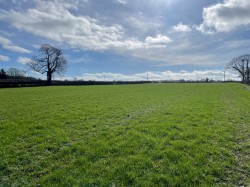 Images for Broadway, Edington, Somerset