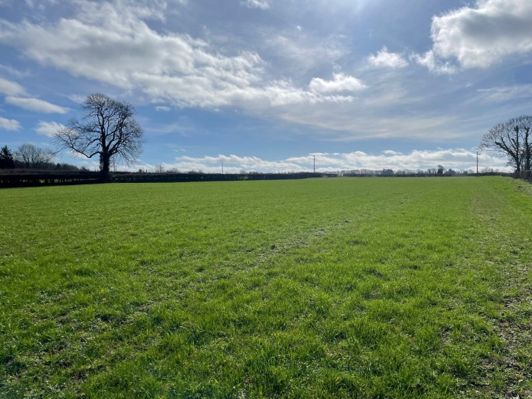 Images for Broadway, Edington, Somerset