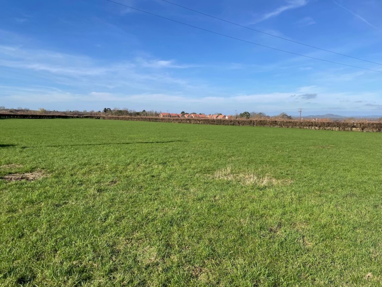 Images for Redlands Lane, Edington, Somerset