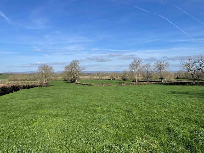 Click the photo for more details of Keen Hayes Lane, Edington, Somerset