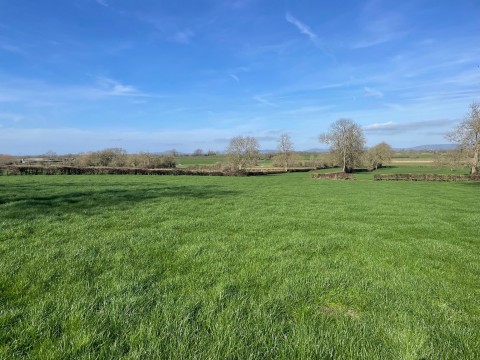 Click the photo for more details of Keen Hayes Lane, Edington, Somerset