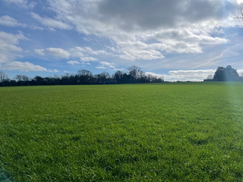 Click the photo for more details of Broadway, Edington, Somerset