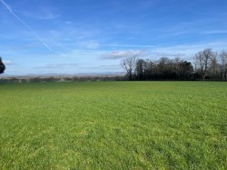 Images for Broadway, Edington, Somerset