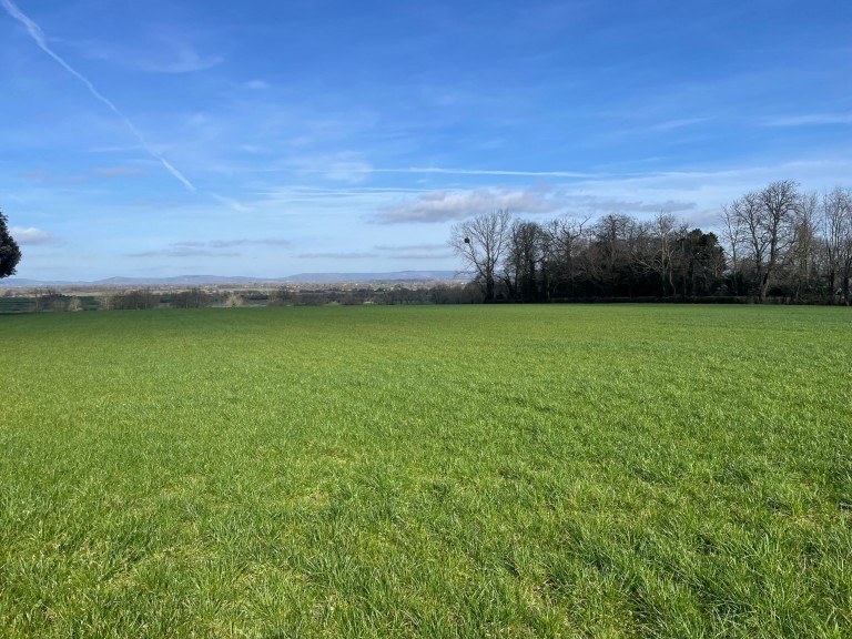 Images for Broadway, Edington, Somerset