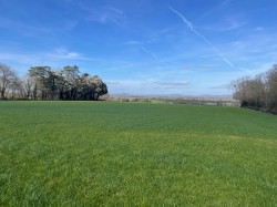 Images for Broadway, Edington, Somerset