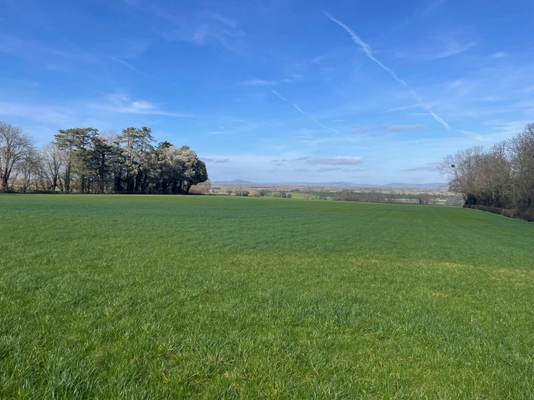 Images for Broadway, Edington, Somerset