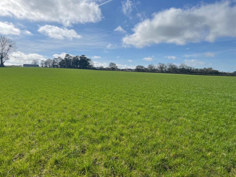 Images for Broadway, Edington, Somerset