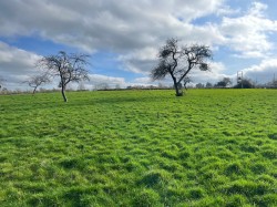 Images for East of Holy Well Road, Edington, Somerset