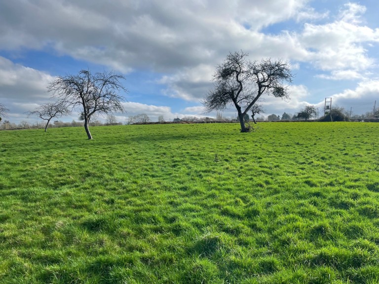 Images for East of Holy Well Road, Edington, Somerset
