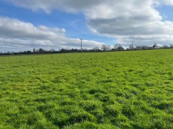 Images for Holy Well Road, Edington, Somerset