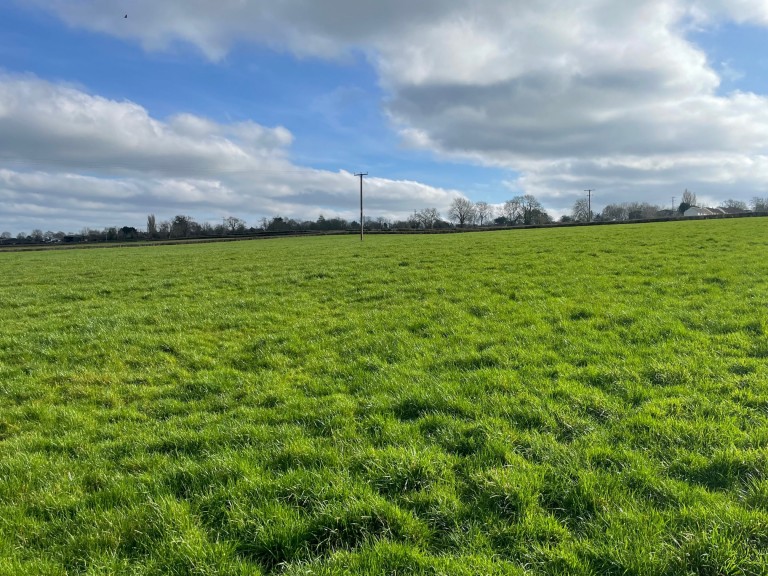 Images for Holy Well Road, Edington, Somerset