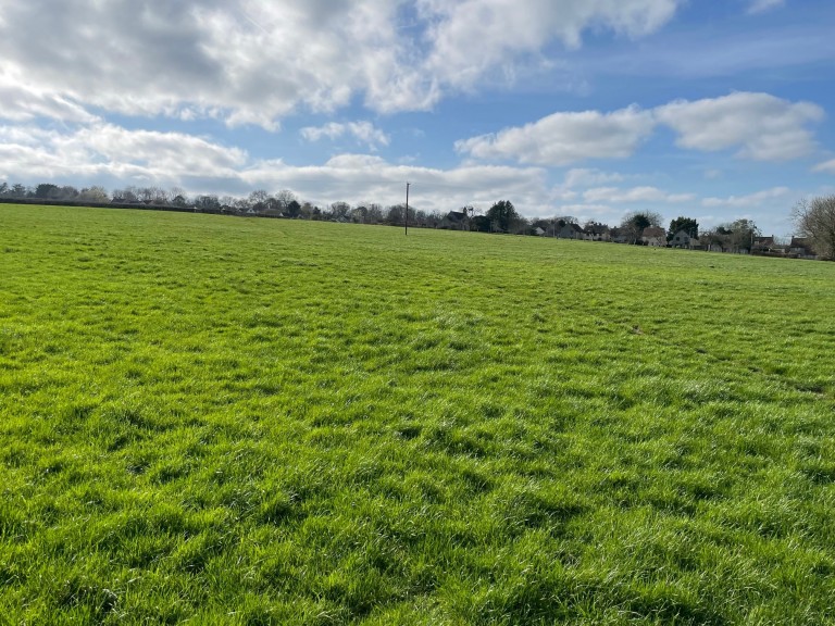 Images for Holy Well Road, Edington, Somerset