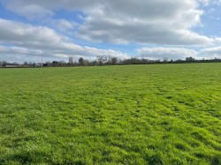 Images for Holy Well Road, Edington, Somerset