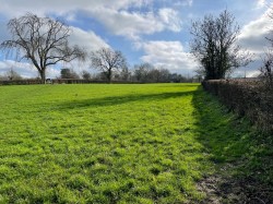 Images for Holy Well Road, Edington, Somerset
