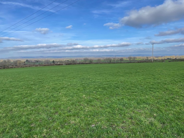 Images for East of Holy Well Road, Edington, Somerset