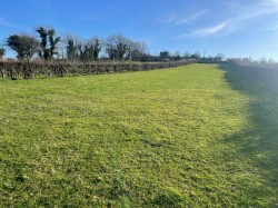 Images for Holy Well Road, Edington, Somerset