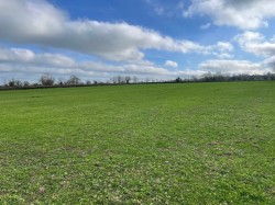 Images for Holy Well Road, Edington, Somerset