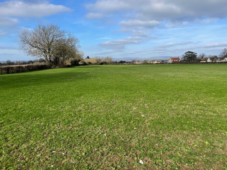 Images for Holy Well Road, Edington, Somerset