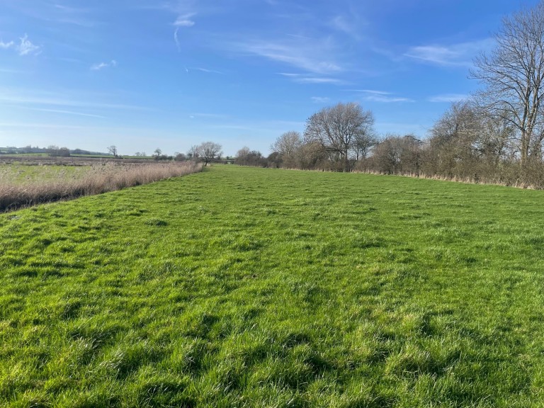 Images for Broadmead Lane, Edington, Somerset