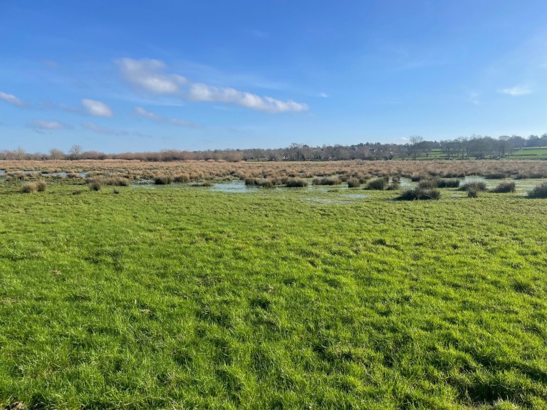 Images for Broadmead Lane, Edington, Somerset