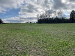 Images for Broadway, Edington, Somerset