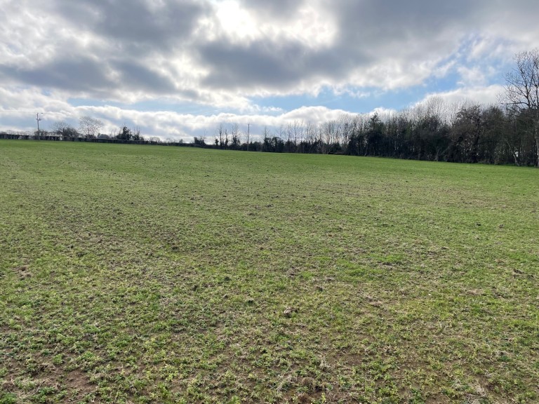 Images for Broadway, Edington, Somerset