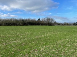 Images for Broadway, Edington, Somerset