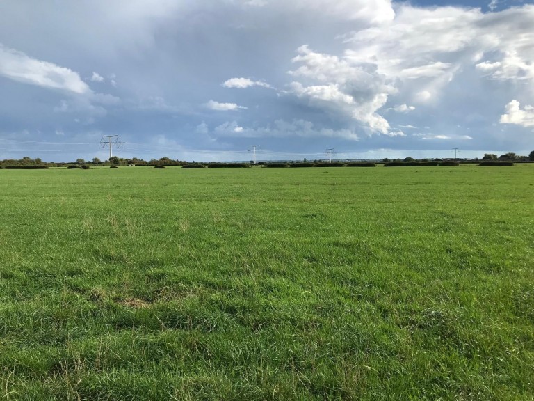 View Full Details for Yard Wall Road, Mark, Somerset