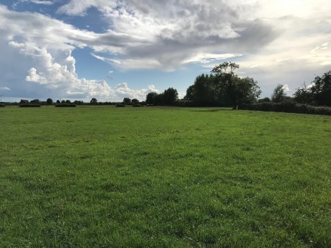 Click the photo for more details of Yard Wall Road, Mark, Somerset