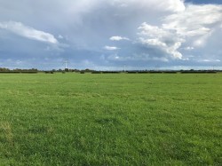 Images for Yard Wall Road, Mark, Somerset