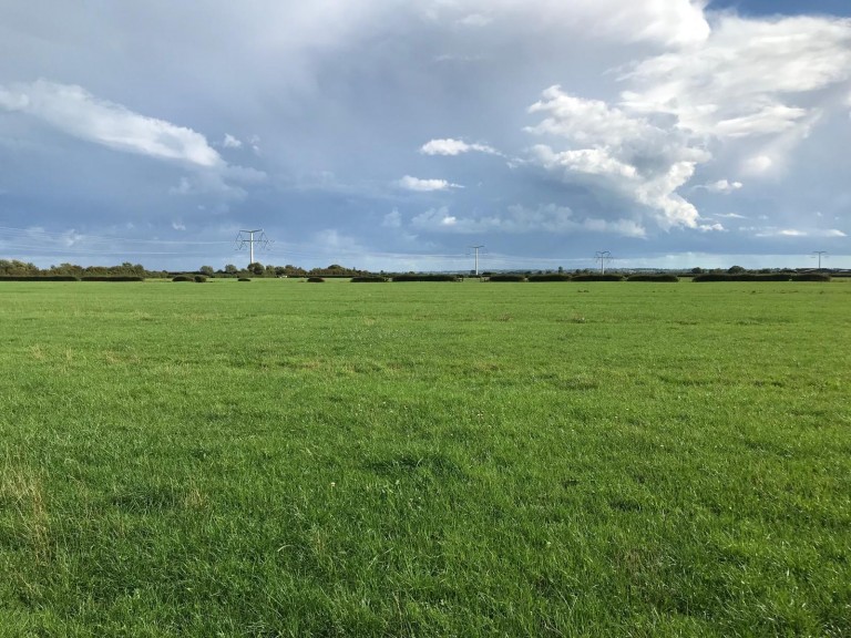 Images for Yard Wall Road, Mark, Somerset