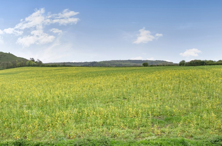 Images for Corsley, Warminster, Wiltshire