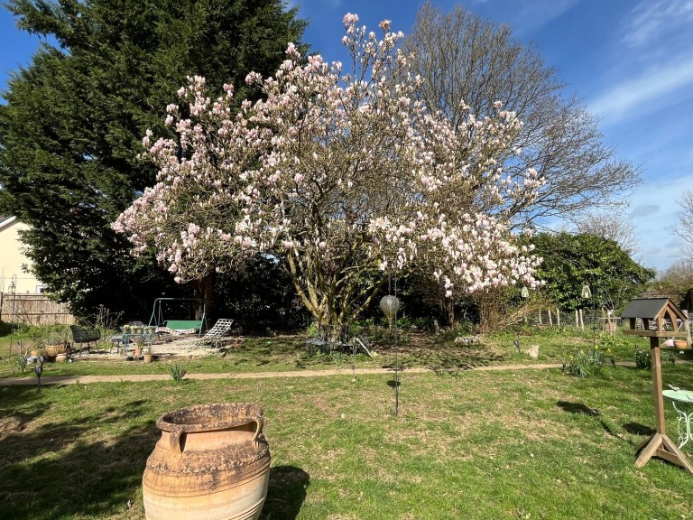 Images for Moat Lane, Sedlescombe, East Sussex