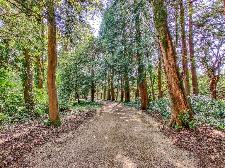 Images for Tyrells Lane, Burley, Ringwood, BH24