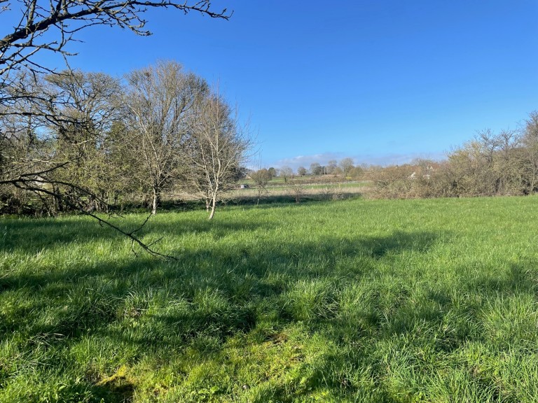 Images for Ilchester Road, Charlton Adam, Somerset