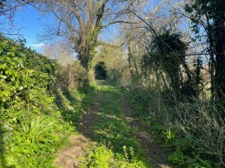 Images for Ilchester Road, Charlton Adam, Somerset