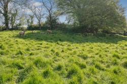 Images for Croscombe, Wells, Somerset