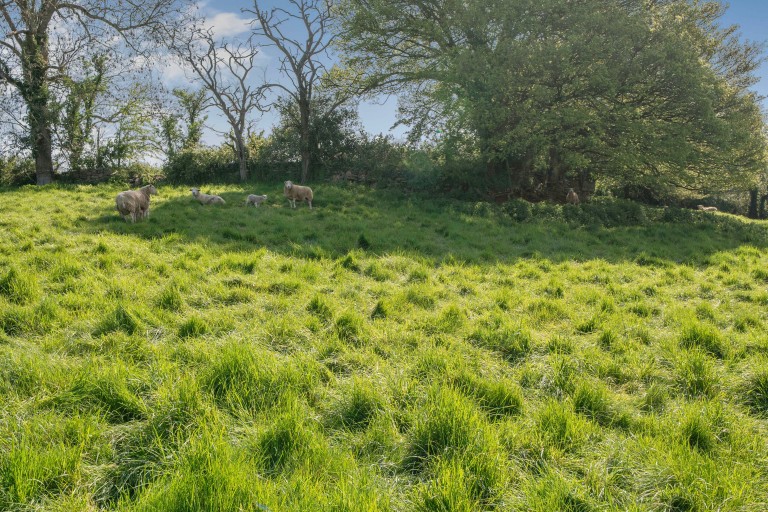 Images for Croscombe, Wells, Somerset
