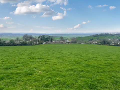 Click the photo for more details of Little Field Lane, Westbury-sub-Mendip, Somerset