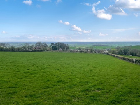 Click the photo for more details of Little Field Lane, Westbury-sub-Mendip, Somerset