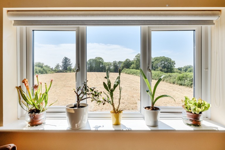Images for Coxley, Wells, Somerset